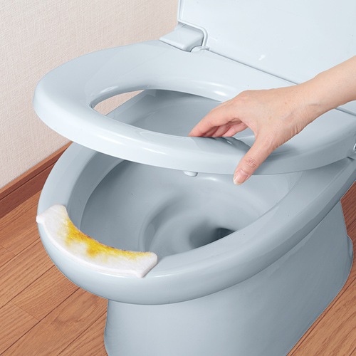 �����ä��ۤ����ѥåȡ�10������AE-77��