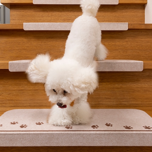 �����������峬�ʥޥå� ���� 6������KX-43��