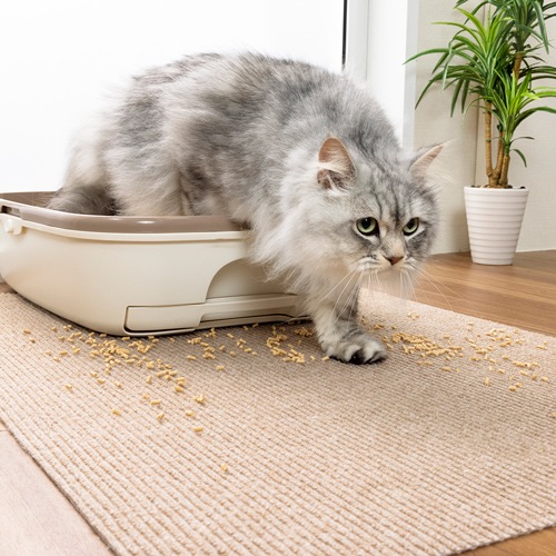 ������������ǭ�Υȥ��첼�ߤ��ޥå�(KX-54)