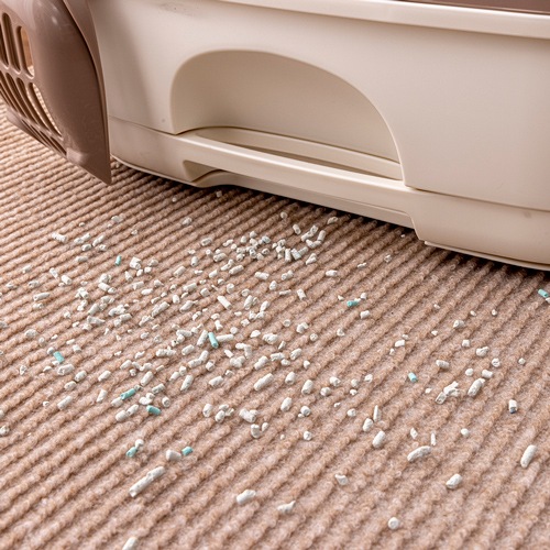 ������������ǭ�Υȥ��첼�ߤ��ޥå�(KX-54)