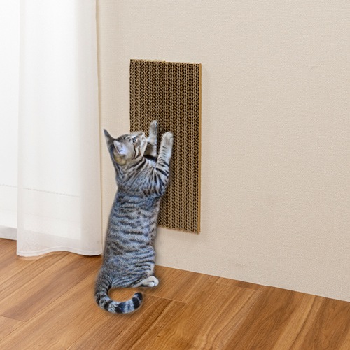 �����������女���ʡ��ˤ�Ž���ǭ�ΤĤ�Ȥ� �ʥܡ���(KX-61)