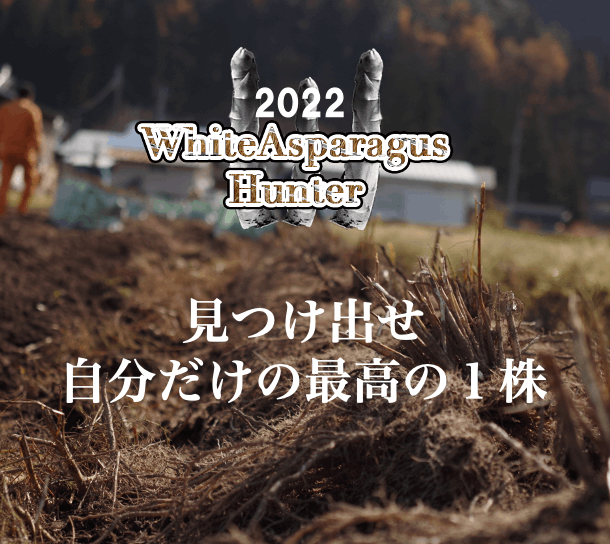 【11/20開催】ホワイトアスパラハンター
