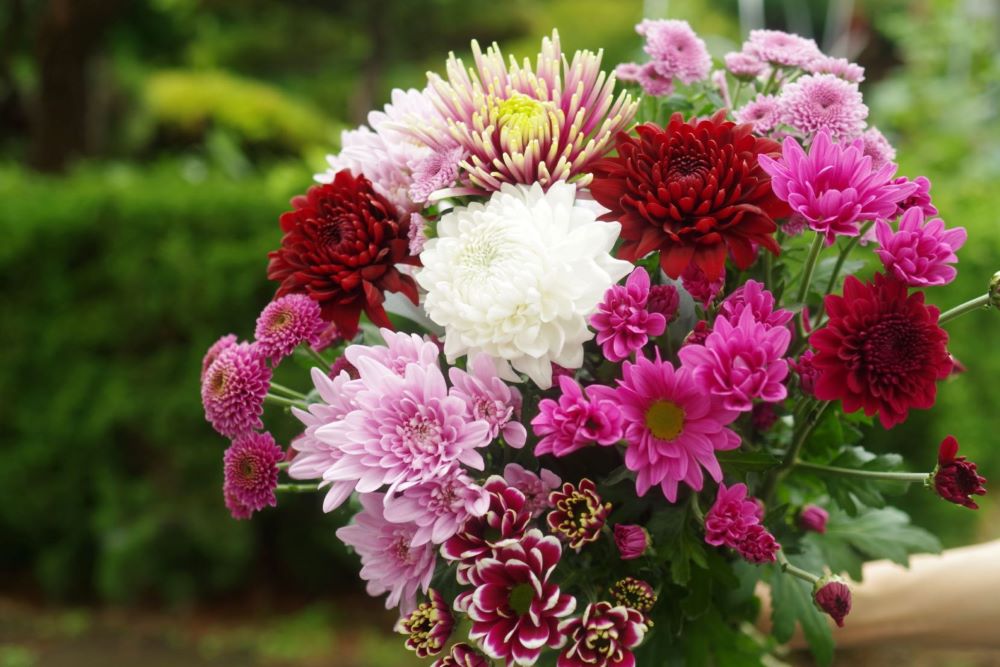 【予約】お墓用お供え花（花束１対）菊、リンドウ