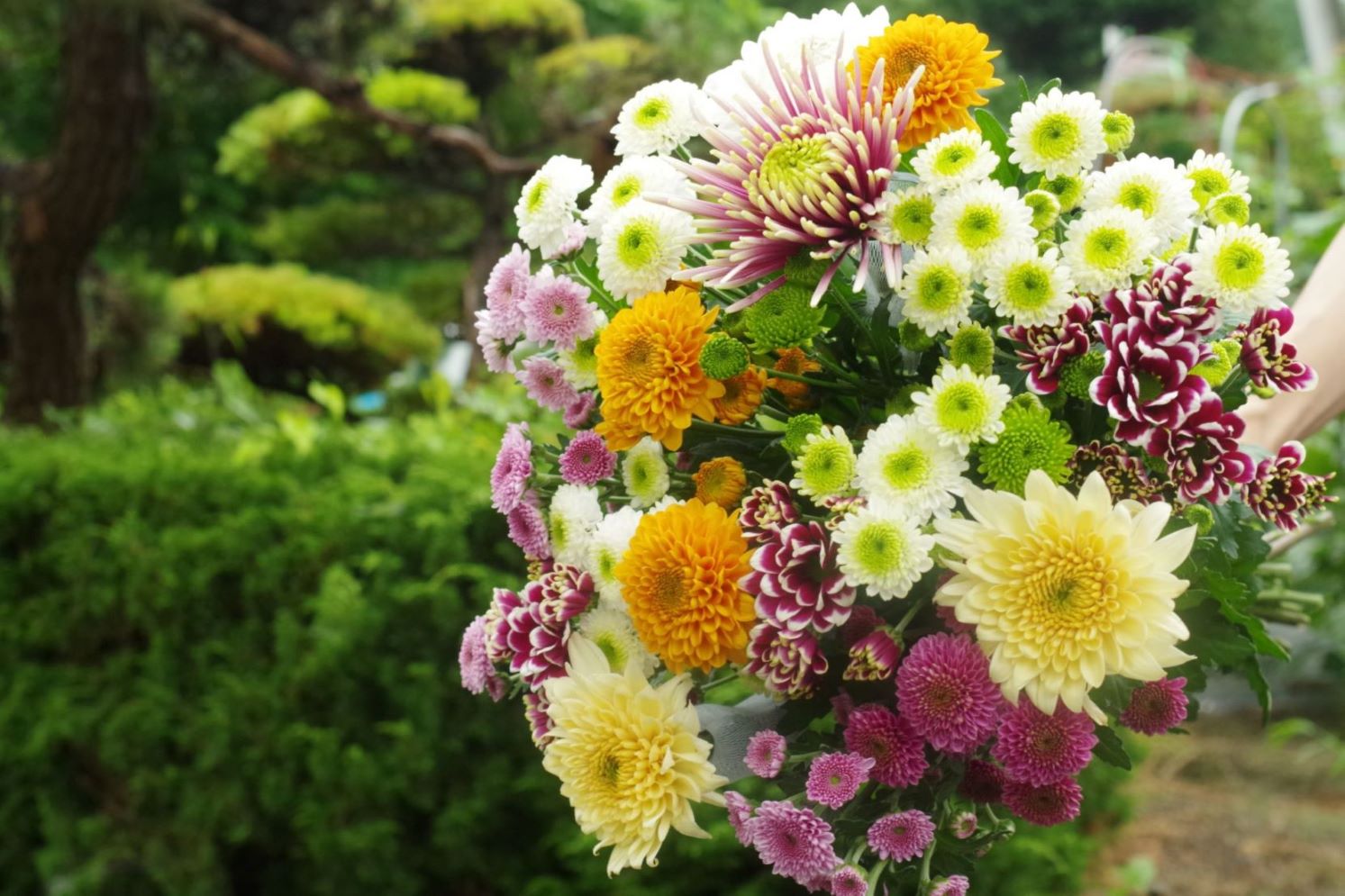 【予約】お墓用お供え花（花束１対）菊、リンドウ