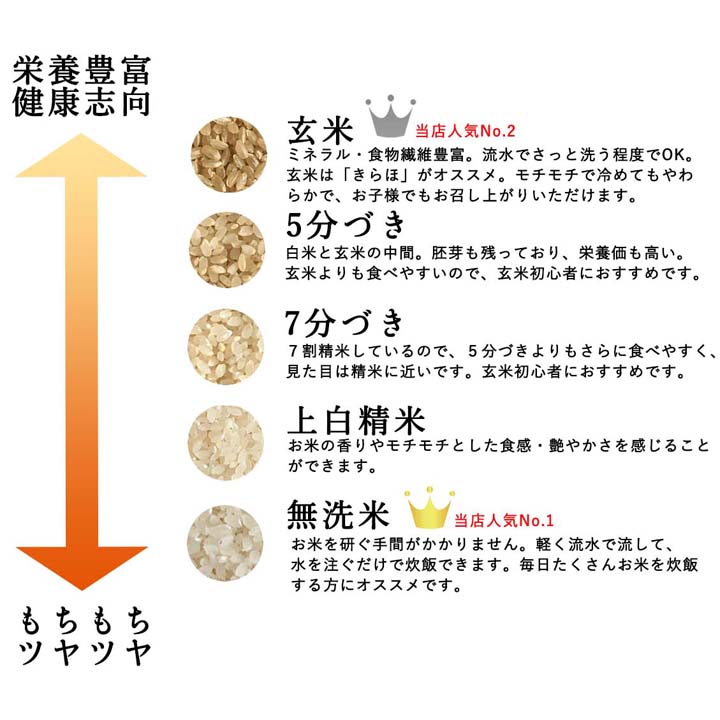 お米のサブスク （月１回配達・5kg×1袋　送料込）