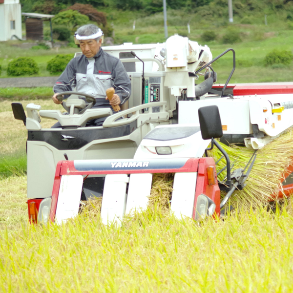 きらほ 無洗米 5kg -特別栽培米-