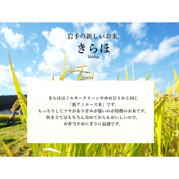 【初めての方限定】もっちり玄米「きらほ」 1.2㎏（8合）送料無料