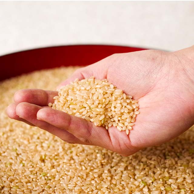 【初めての方限定】もっちり玄米「きらほ」 1.2㎏（8合）送料無料