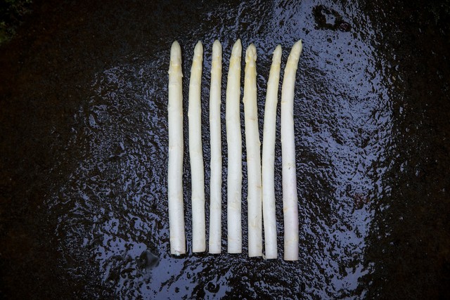 まるで果実!?ホワイトアスパラ「白い果実」 太めのご家庭用/500g×2袋