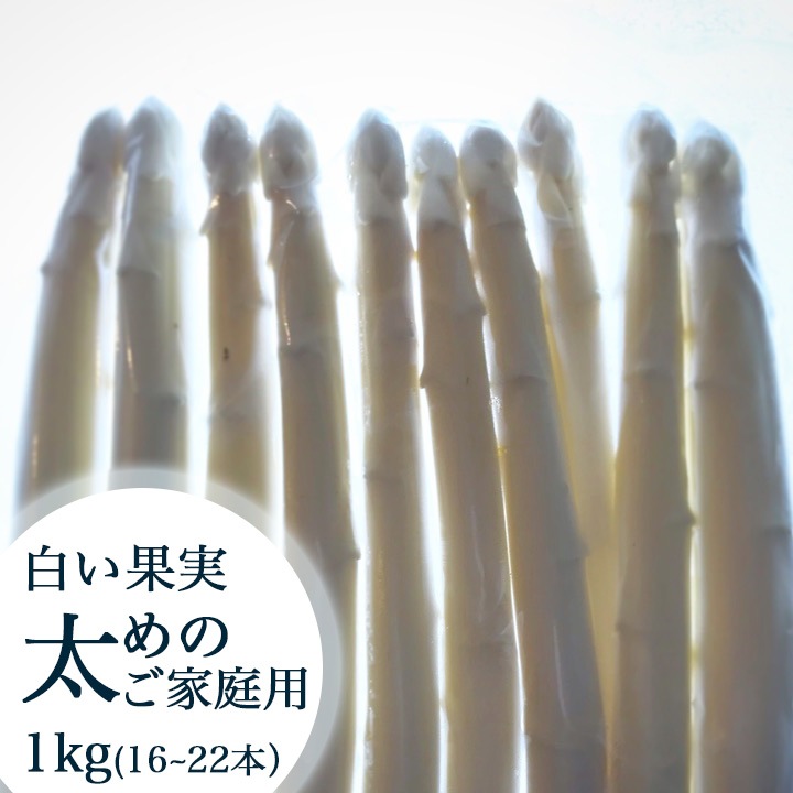 まるで果実!?ホワイトアスパラ「白い果実」 太めのご家庭用/500g×2袋