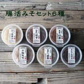 テレビで紹介　腸活にいい味噌 ６種セット