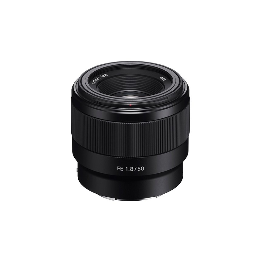 SONY FE50 F1.8 Eޥ ڿʡ