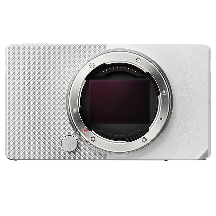 SIGMA BF BODYSilver ڿʡ