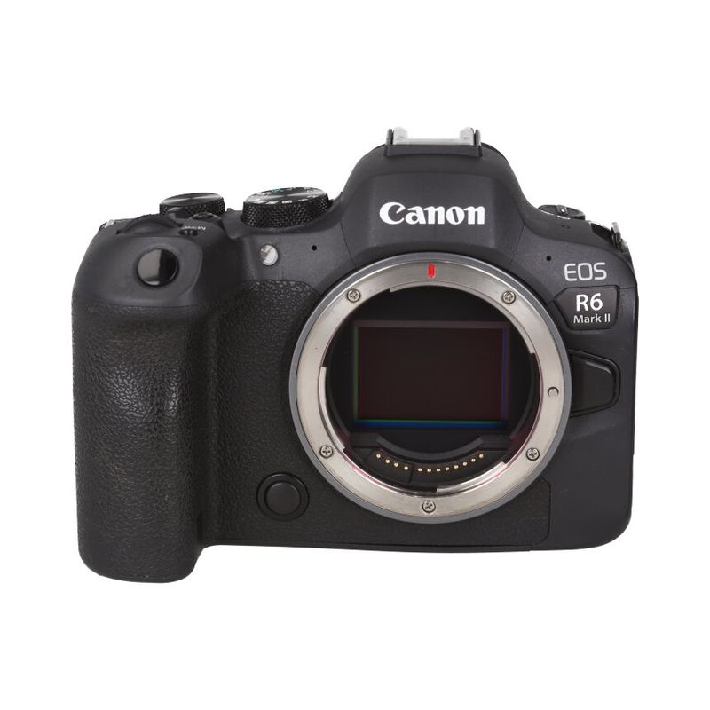 Canon EOS R6 MarkII BODY ��B��
