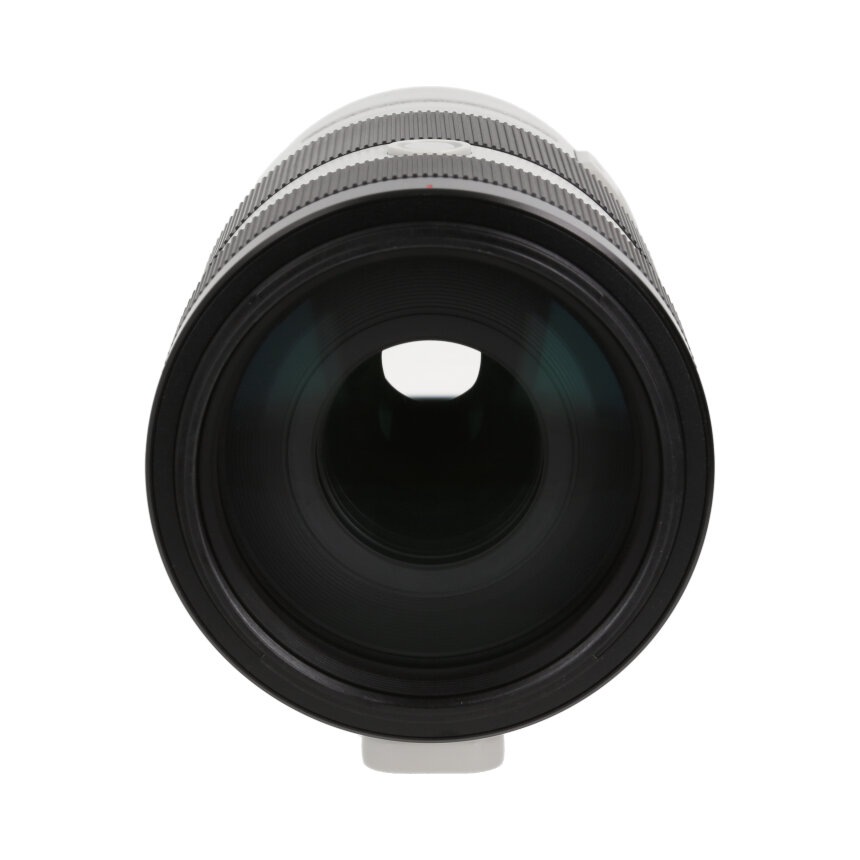 SONY FE100-400mm F4.5-5.6 GM OSS�� E�ޥ���ȡ�AB��