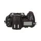 Nikon D500 BODY ��AB��