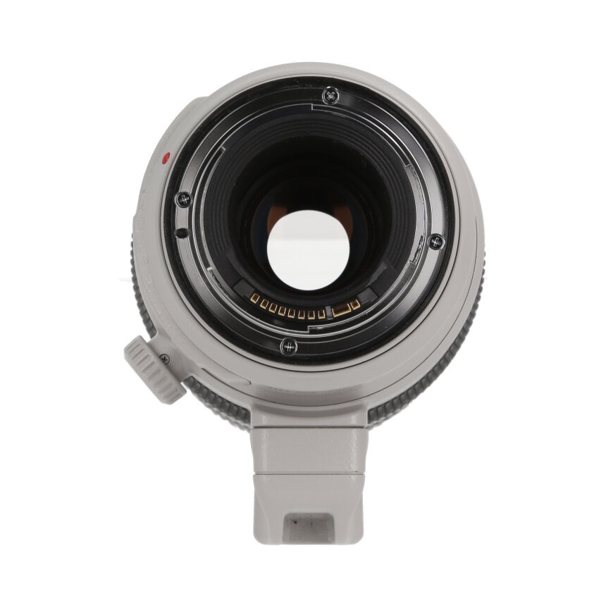 Canon EF100-400mm F4.5-5.6L IS II USM ��AB��