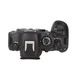 Canon EOS R6 MarkII BODY�� ��B��