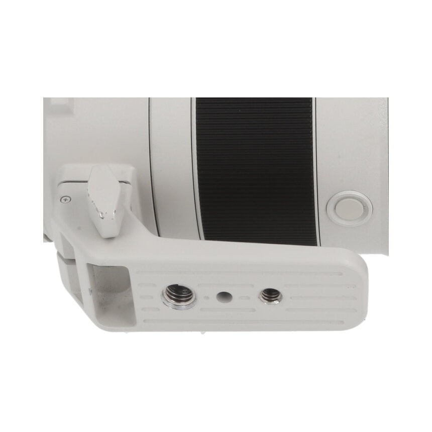 SONY FE200-600mm F5.6-6.3 G OSS E�ޥ���ȡ�AB��