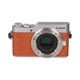 Panasonic LUMIX DC-GF9 ����� G12-32 ASPH ��AB��