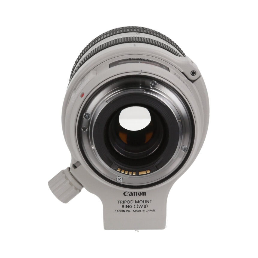 Canon EF70-300mm F4-5.6L IS USM + C(WII) ��AB��
