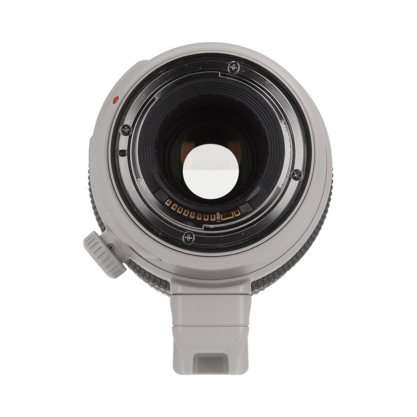 Canon EF100-400mm F4.5-5.6L IS II USM ��AB��