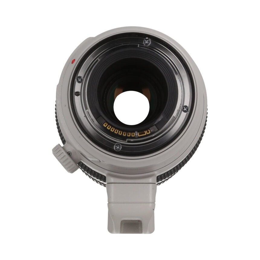 Canon EF100-400mm F4.5-5.6L IS II USM ��B��