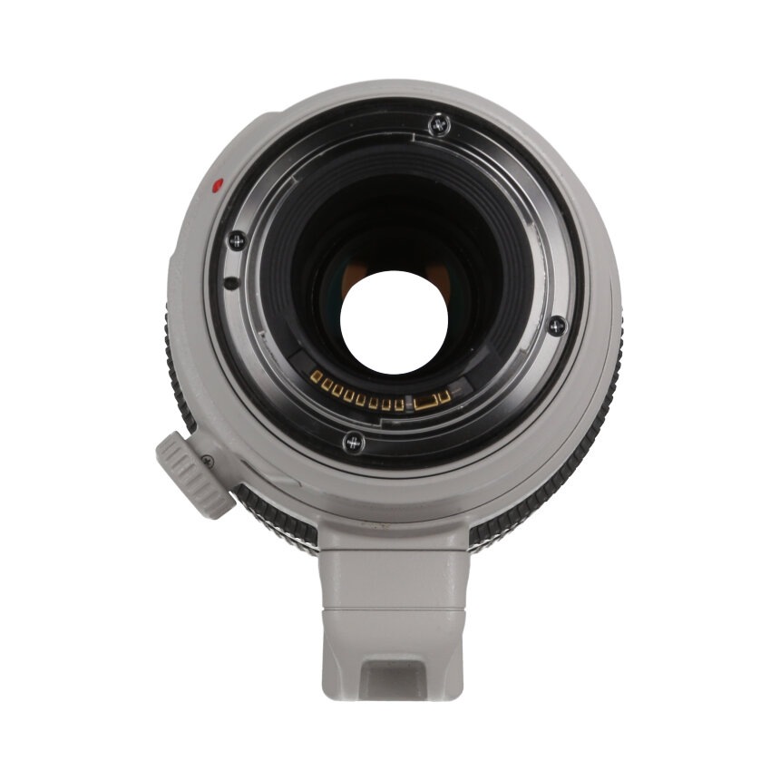 Canon EF100-400mm F4.5-5.6L IS II USM ��B��