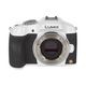 Panasonic LUMIX DMC-G6 �ۥ磻�� + PZ 14-42mm ��A��