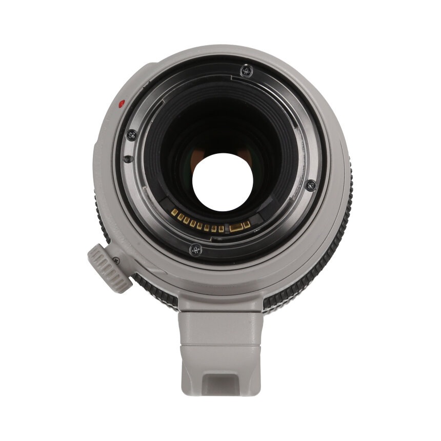 Canon EF100-400mm F4.5-5.6L IS II USM ��B��