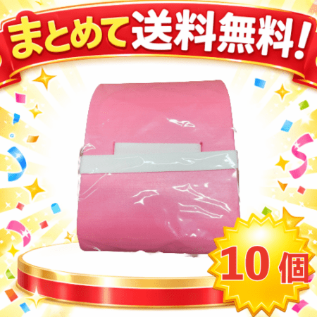 ○まとめて送料無料! カラージェットヘルパーL 10個組 MAT-SH-2119-10