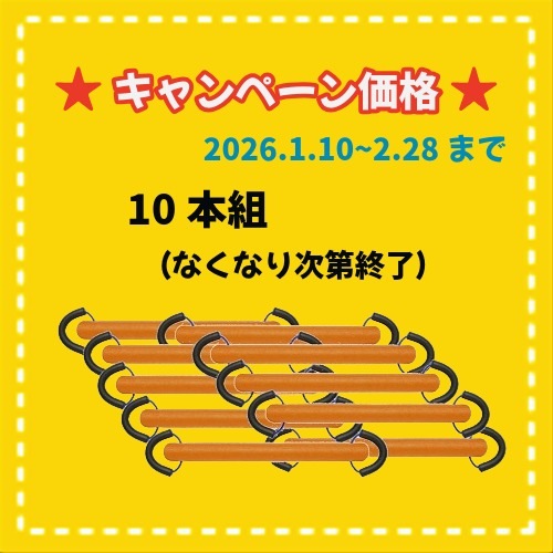 ★冬キャンペーン　BECO PowerStick(パワースティック)10本組