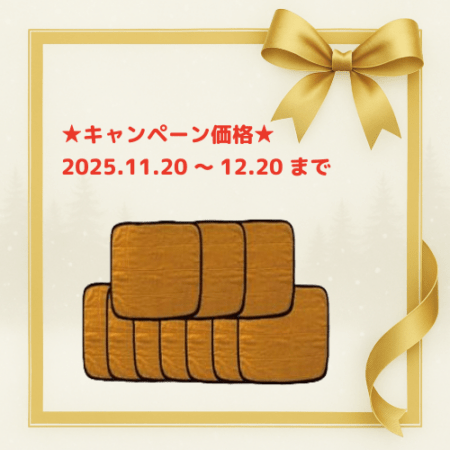 ★冬トクキャンペーン　ひとり用サウナマット10枚組　　