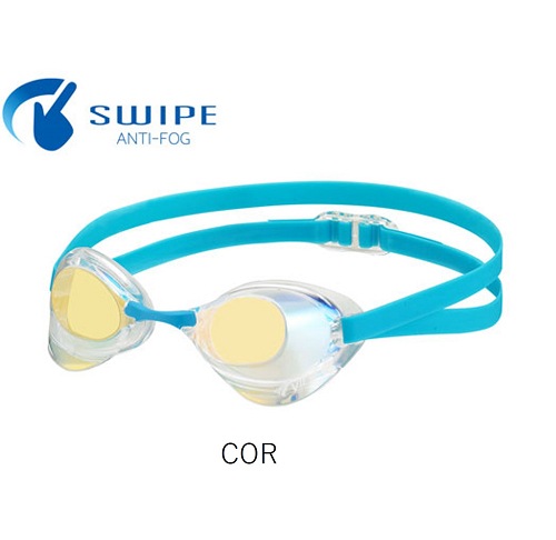 V121ESAM Bladeゴーグル