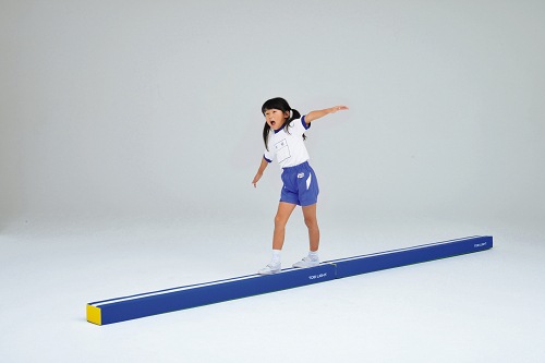 T-2419　プレイフォームマットD