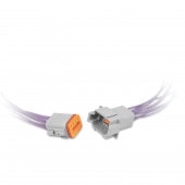 MSD Deutsh 졼ͥ 6ԥ