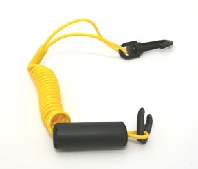 Atlantis  �ե����ƥ��󥰡��٥��ȥ��䡼�� KAWASAKI  ����������