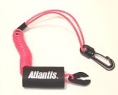 Atlantis  եƥ󥰡٥ȥ䡼Kawasaki ԥ