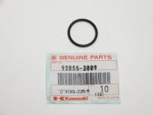 KAWASAKI �������� O��󥰡ʎ��׎ݎ������̎ġ� JS440/JS550�����᡼�������佪λ��