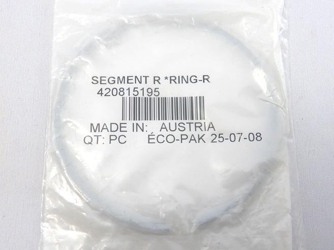 りん出品 新作予約・受注生産】TinyFox「洋菓子屋の林檎ちゃん」 【apple