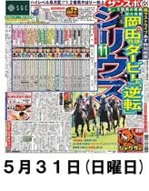 hideパノラマ新聞 | サンスポe-shop