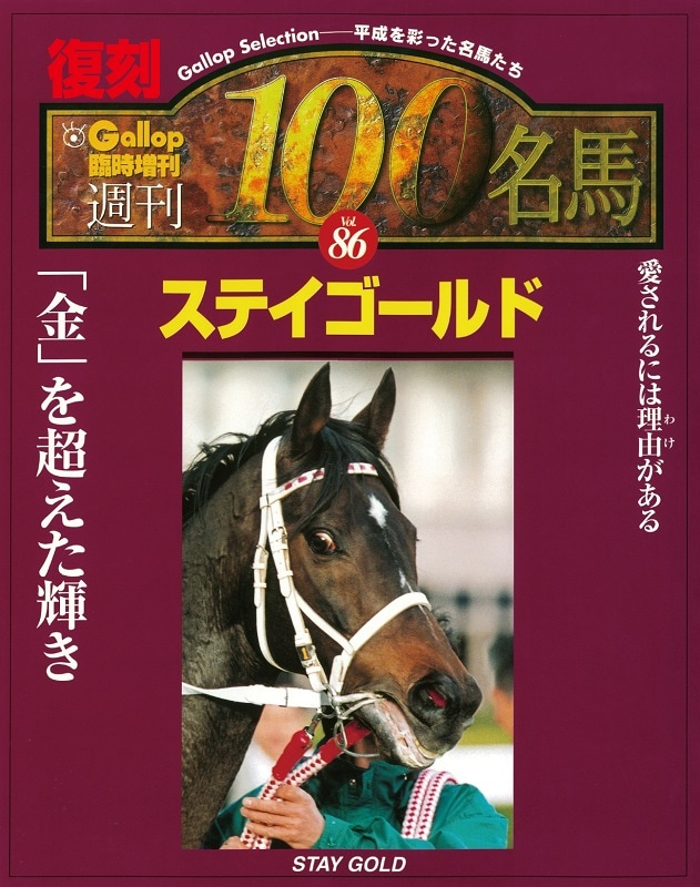 【週刊100名馬復刻版】ステイゴールド