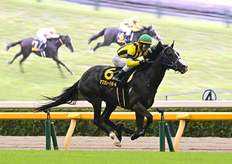 競馬 名馬 大きいパネル^o^ 競馬 名馬 大きいパネル^o^ 競馬 名馬 大きいパネル^o^（未来に