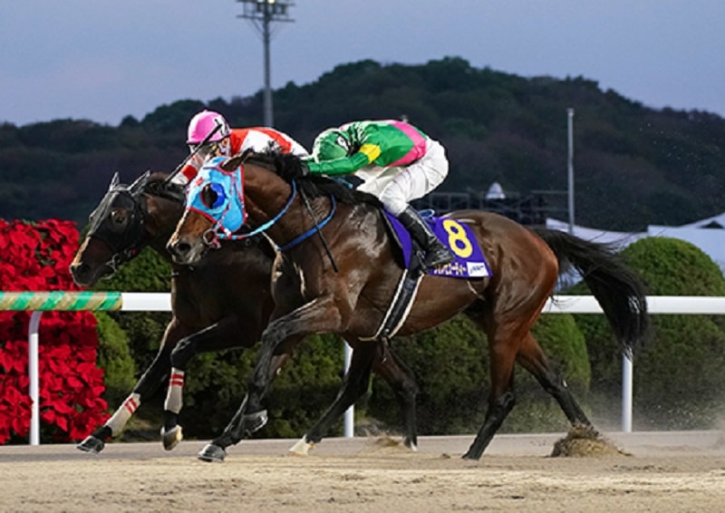 R6・JBCスプリントレースパネル タガノビューティー | サンスポ