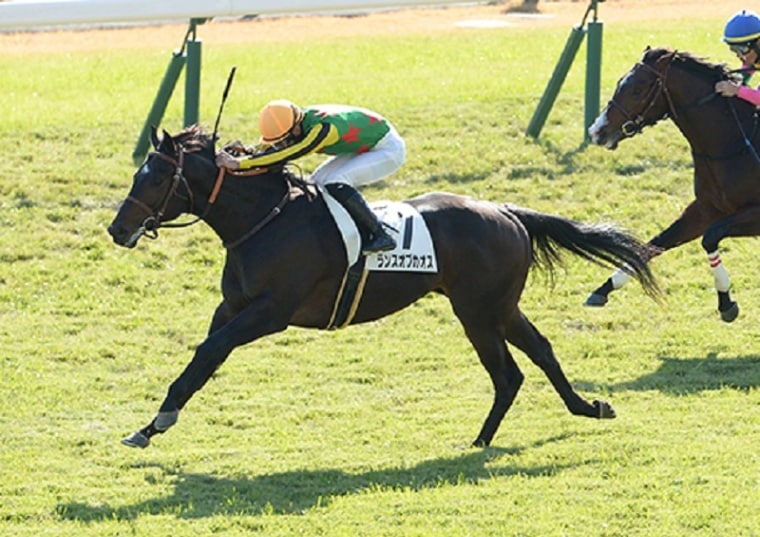 R6・メイクデビュー京都(12/1)5Rレースパネル ランスオブカオス