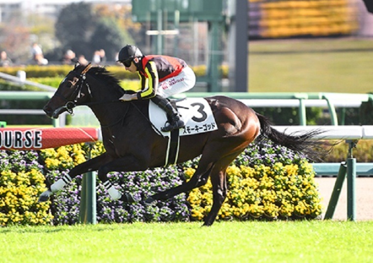 Ｒ6・メイクデビュー中山（12/1）5Rレースパネル　スモーキーゴッド