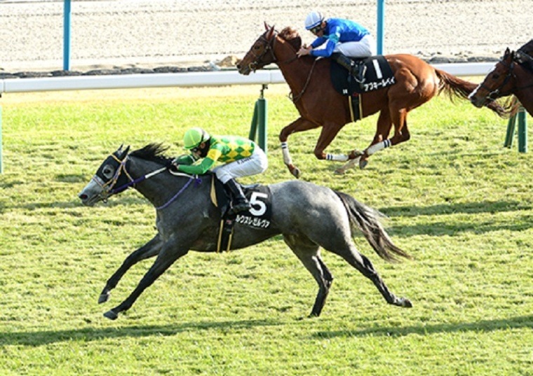 Ｒ6・さざんか賞レースパネル　ルクスレゼルヴァ