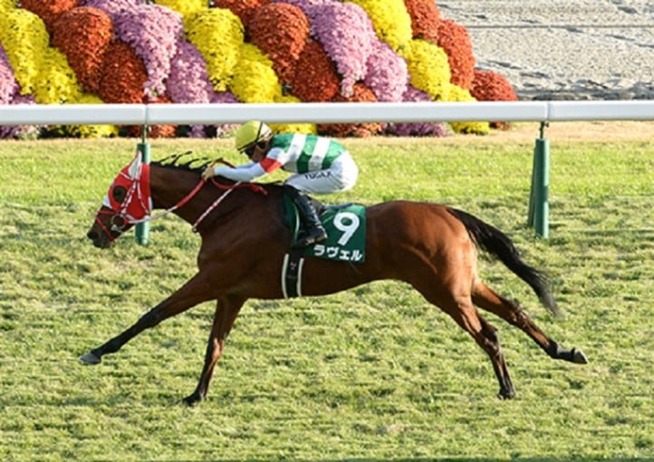 Ｒ6・チャレンジCレースパネル　ラヴェル