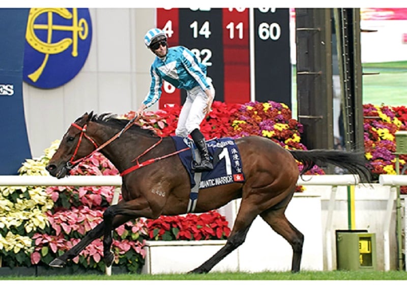 R6・香港カップレースパネル ロマンチックウォリアー① | サンスポe-shop