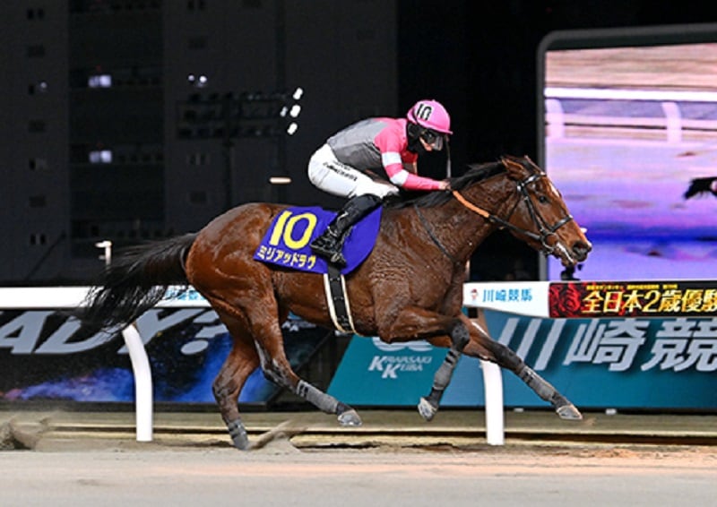 Ｒ6・全日本2歳優駿レースパネル　ミリアッドラヴ